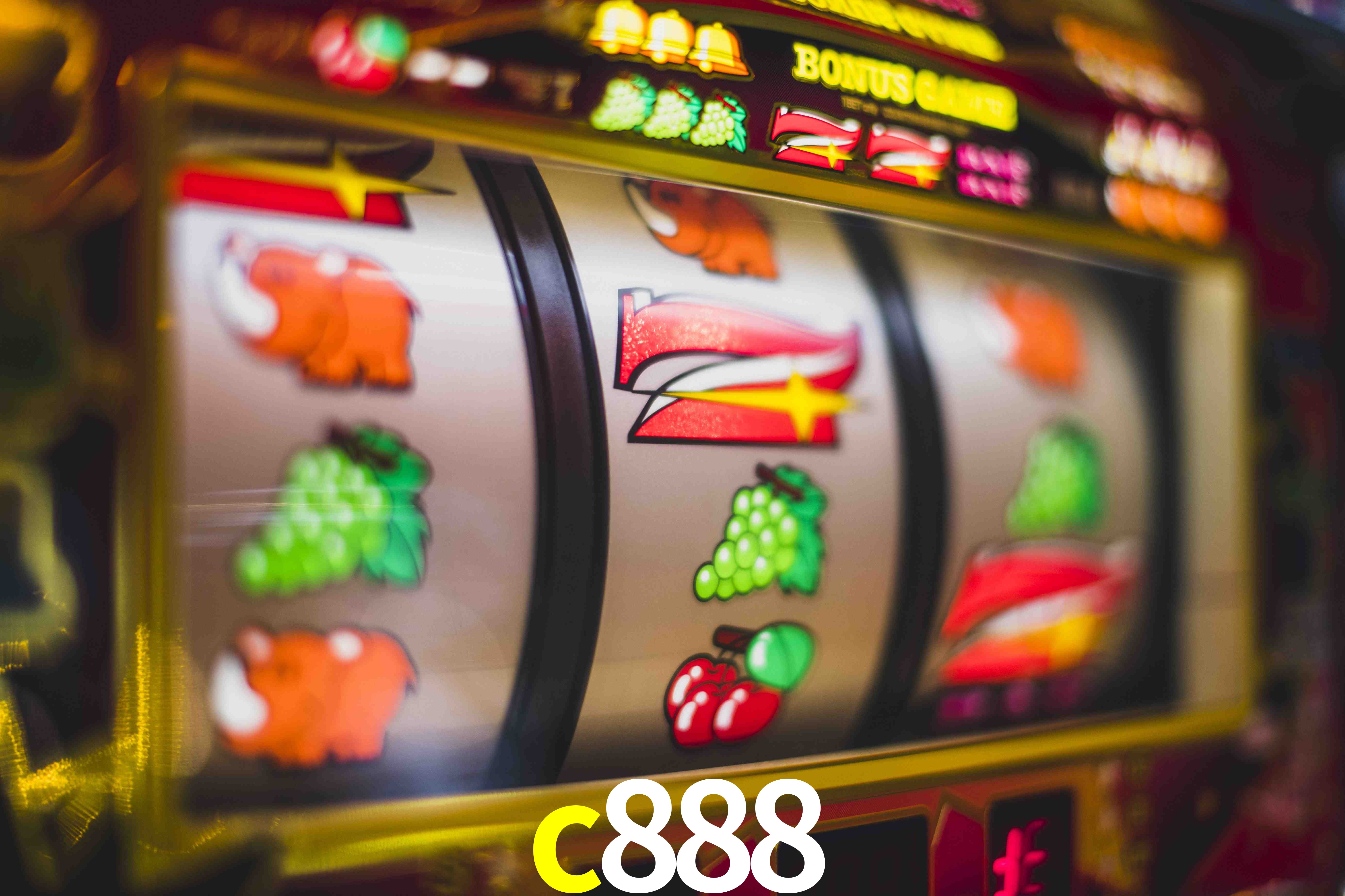 Sports Statistics c888